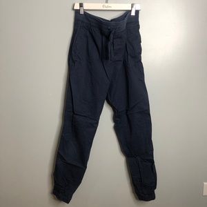 ARITZIA Community Blue Jogger Pant